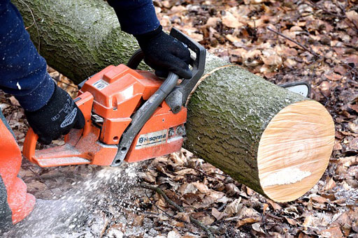 Best Chainsaw Under 200 Dollar Top Picks Of 2019 Pick A Saw