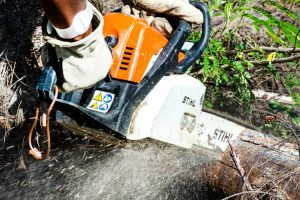 Best Top Handle Chainsaw