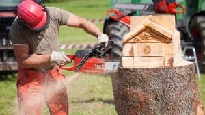 best chainsaw for wood carving