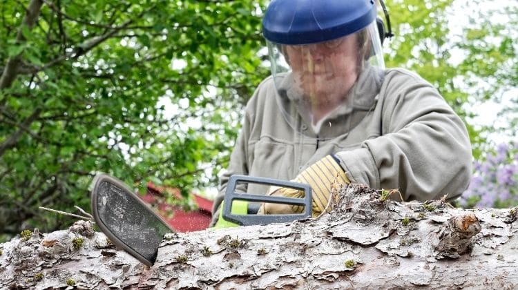 Safety Is Must in the best women chainsaw